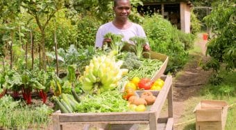 farm worker at sirkioi lodge, kenya