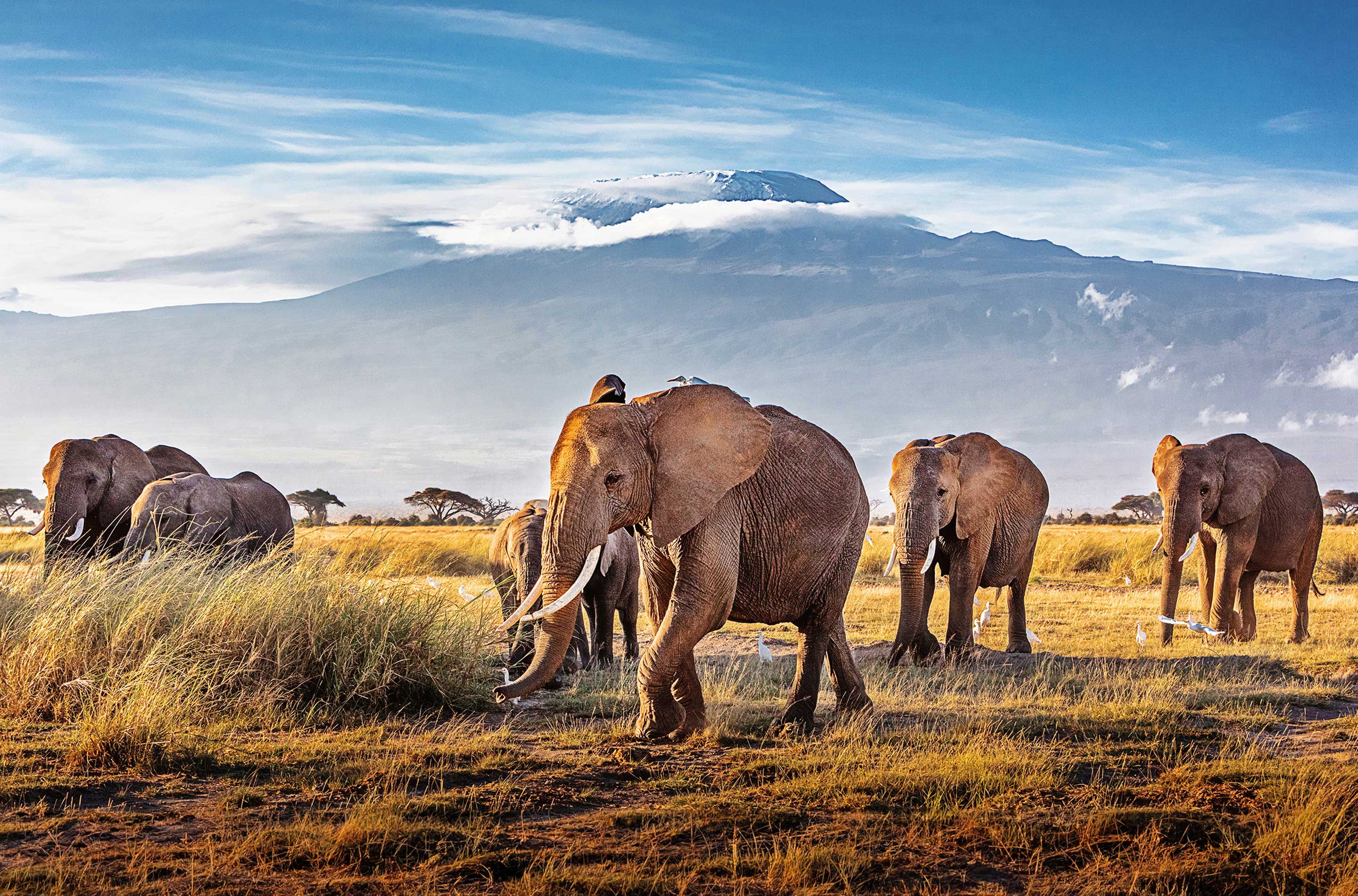 Voted #1 World's Best Safari Outfitter a Record 10 Times
