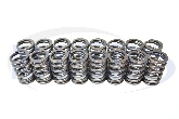 Crane Cams Valve Springs, 95-05 Neon SOHC