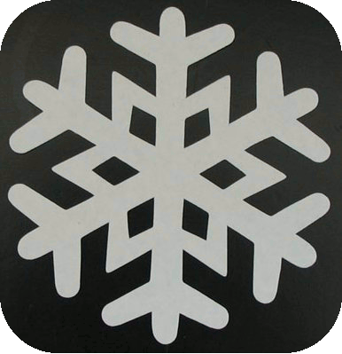 CARHARTT CMA6046 10.5M FORCE 6" WATERPROOF BOOTSSS