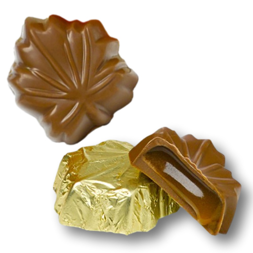 Lake Champlain Organic Leaves - Milk Chocolate Caramel