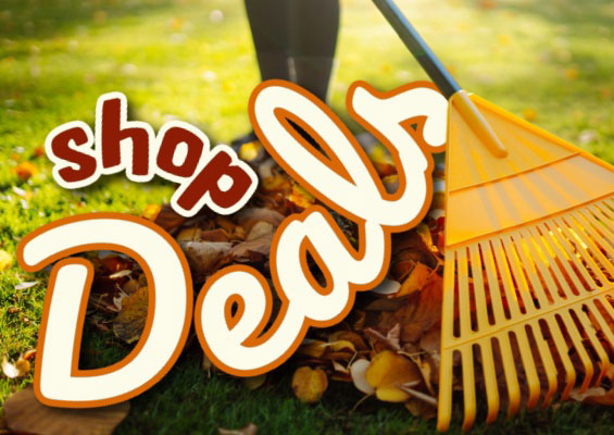 Boy on skateboard promoting natural candy sale