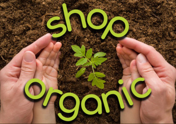 Shop organic.