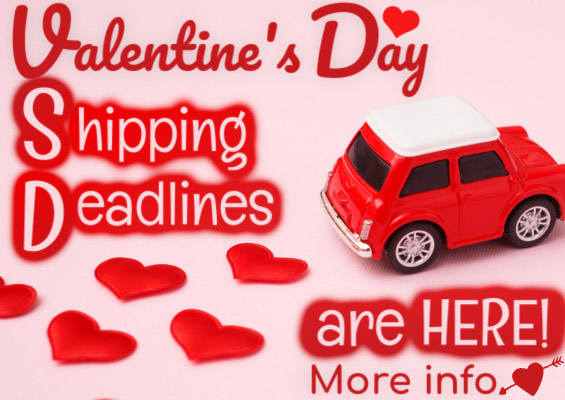 Valentine's Day Shipping Deadlines are HERE! More info >
