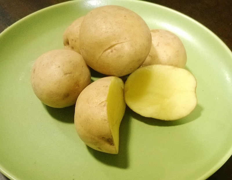 Yukon Gold Organic Seed Potatoes