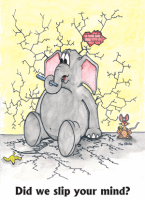 Elephant Missed Appointment Postcard - Qty 100