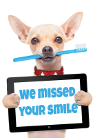 Missed Your Smile Dog Missed Appointment Postcard - Qty 100