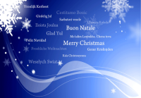 Merry Christmas Languages Holiday Greeting Card - Qty 50 Merry Christmas Languages Holiday Greeting Card - Qty 50