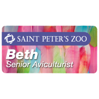 Sublimated 1.5" x 3" Aluminum Name Badge with Magnetic Back