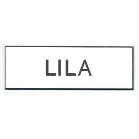 Name Tag - Magnetic Back