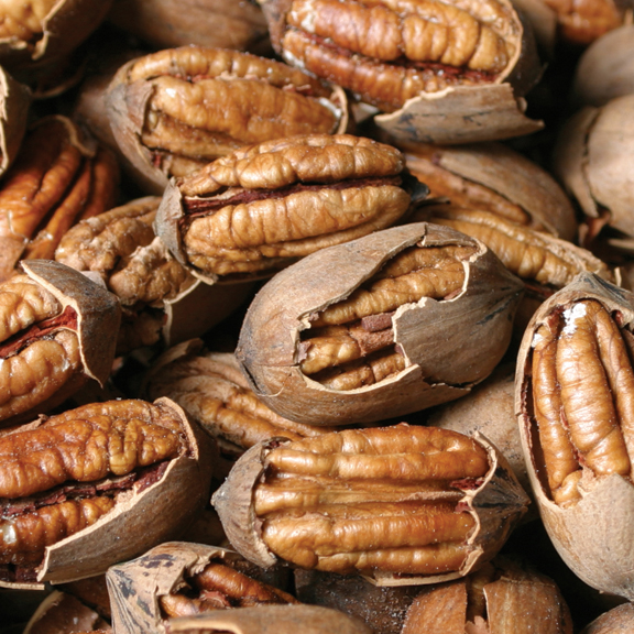 Oliver Pecan Co Texas Pecans, brittle, pies and chocolates