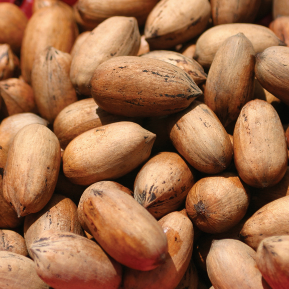 Inshell Pecans