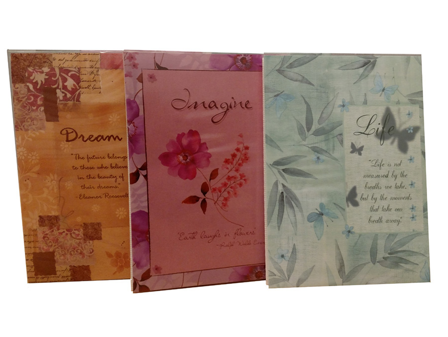 MBI Flex Removable Cover 4x6 Album (24 Pocket) Frame Triple Vertical