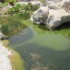 Hiking in the Fox Canyon
