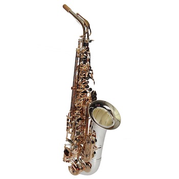 Dakota Alto Saxophone -  Black/Silver Finish