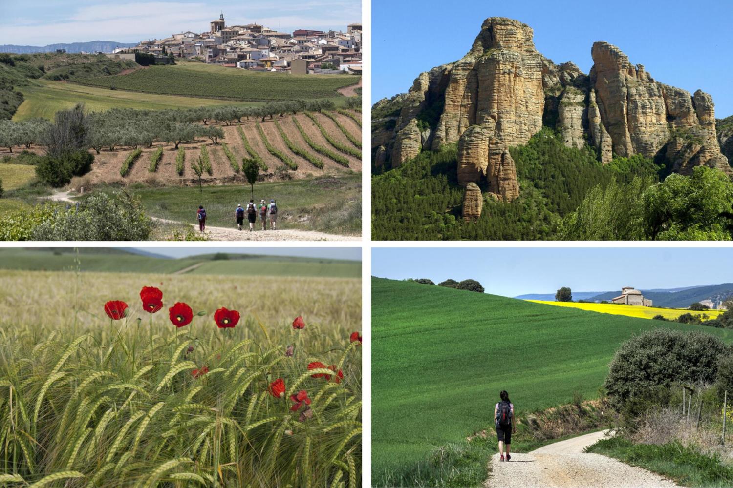 7 reasons to visit La Rioja 4. Walking at a Rioja pace The Pothole