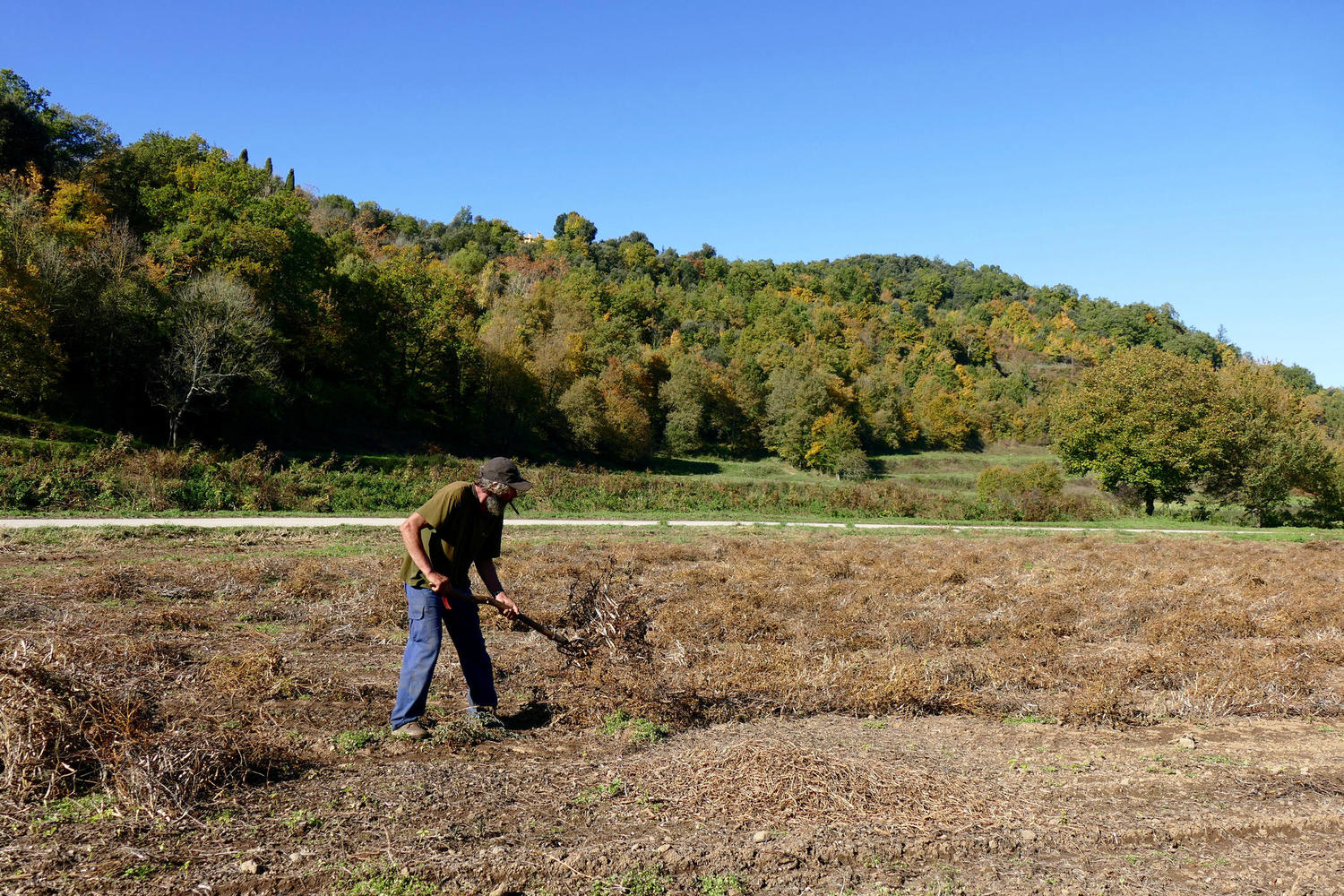 spain catalonia clearing fields santa pau copyright Thomas Power Pura Aventura