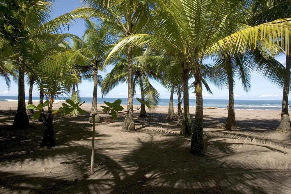Guide to Costa Rica Pacific Beaches The Pothole Pura Aventura