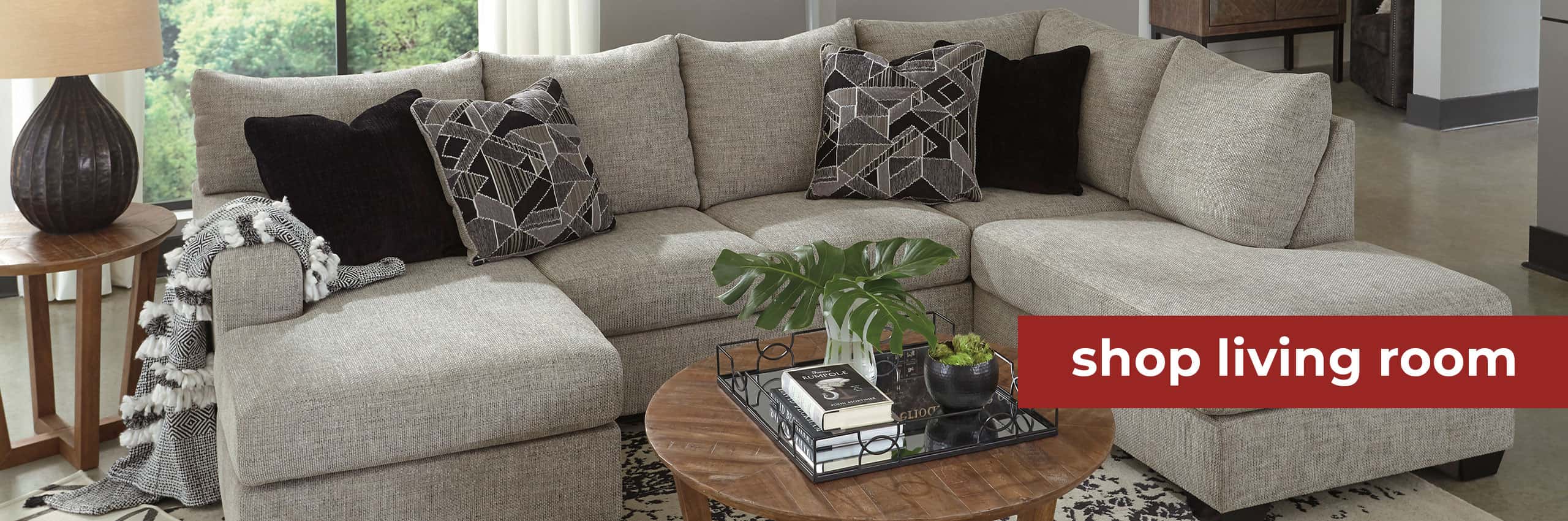 Shop Living Room