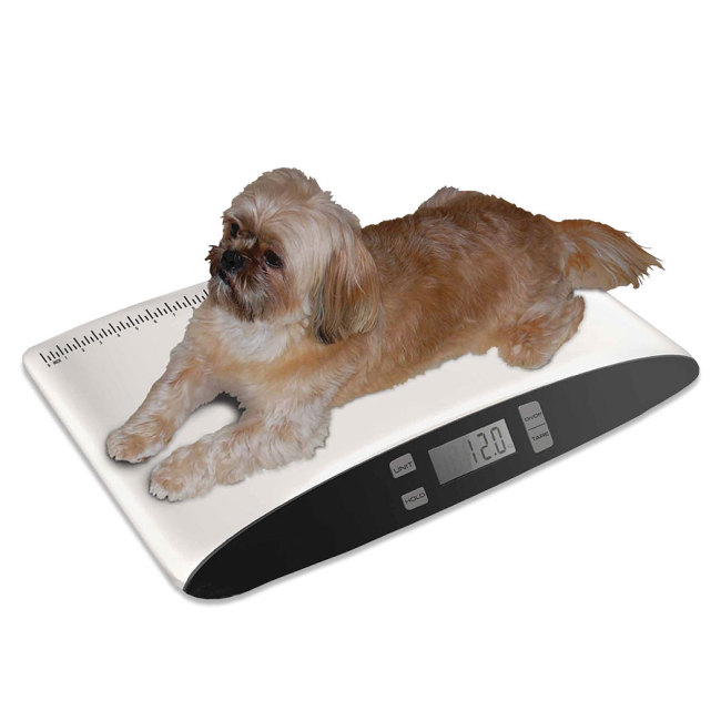 Precision Digital Pet Scale Revival Animal Health