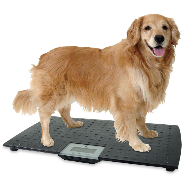 Large Precision Digital Pet Scale Revival Animal Health