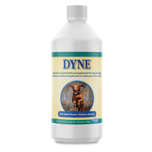 Dyne Revival Animal Health