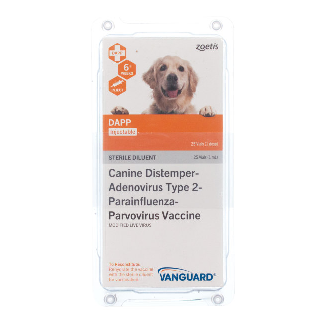 Vanguard Plus 5 Revival Animal Health