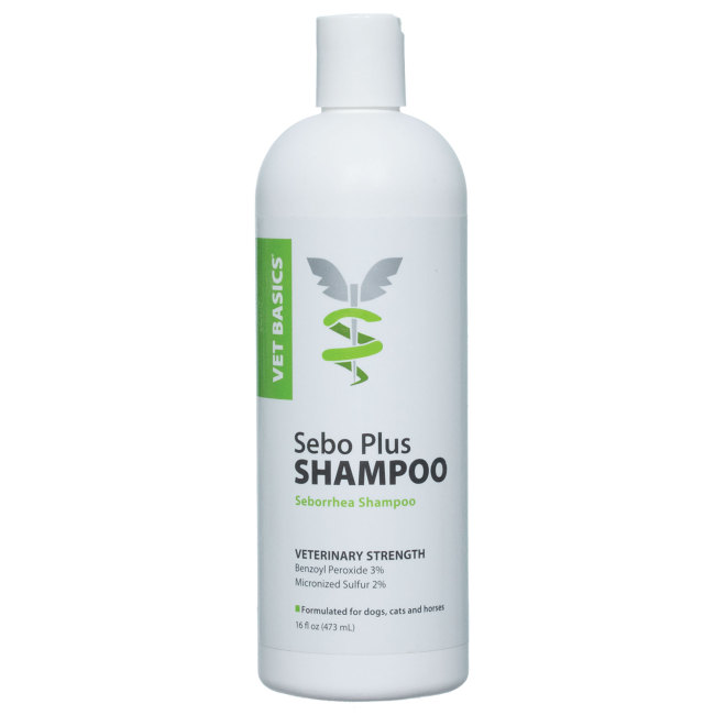 zymox medicated shampoo