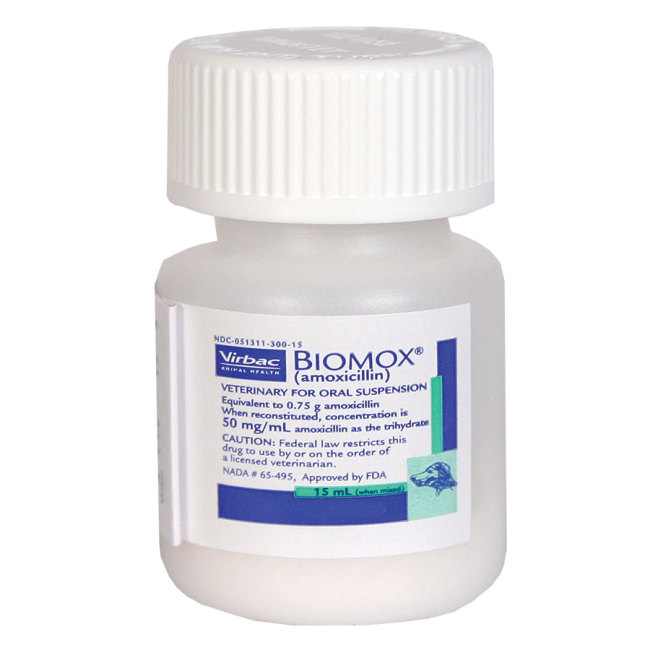 Amoxicillin Oral Suspension (Generic) Revival Animal Health