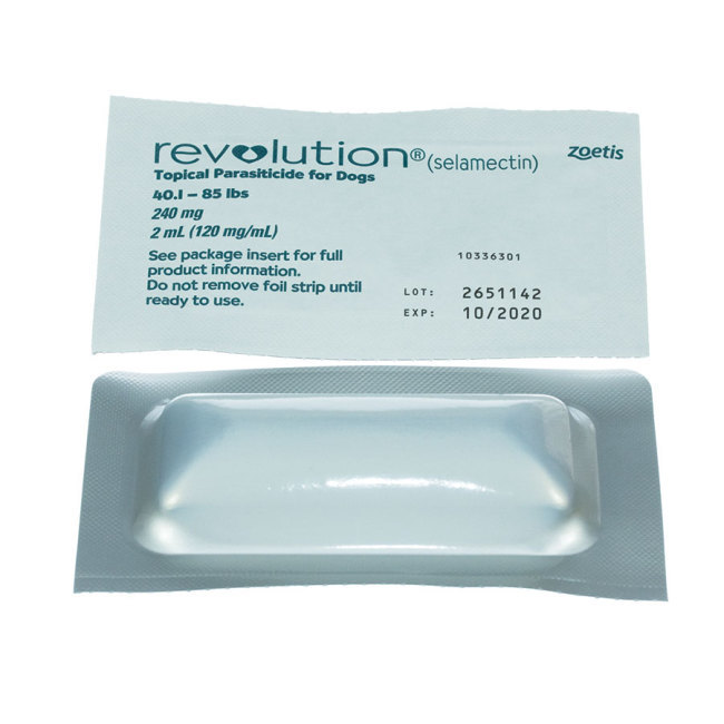 revolution for dogs 5.1 10 lbs