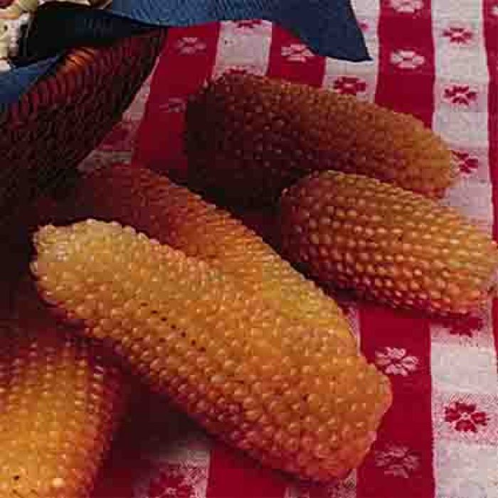 Popcorn Hulls at Barbara Castro blog