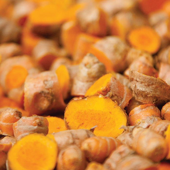 Turmeric, Herbs R.H. Shumway's Company