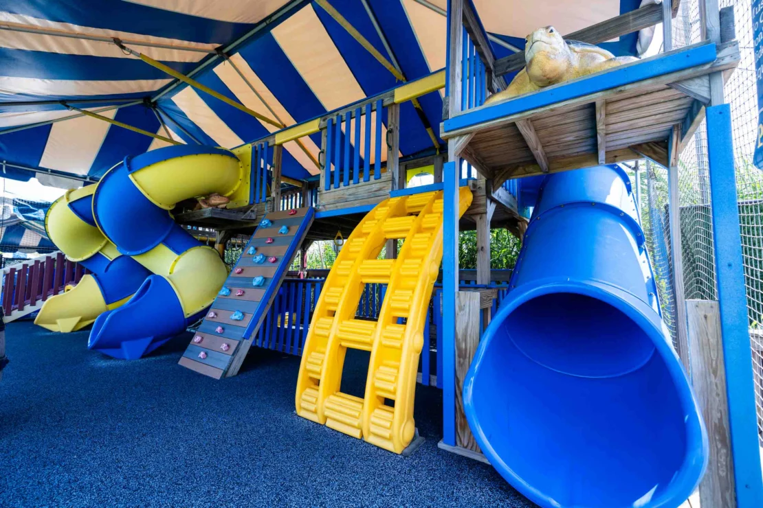 Outdoor playground with blue and yellow slides, climbing wall, and tunnel under a striped canopy, featuring a turtle figure on the wooden structure.