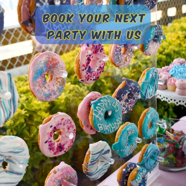 Colorful birthday donuts decorated with icing and sprinkles displayed at a Rolling River Day Camp party setup