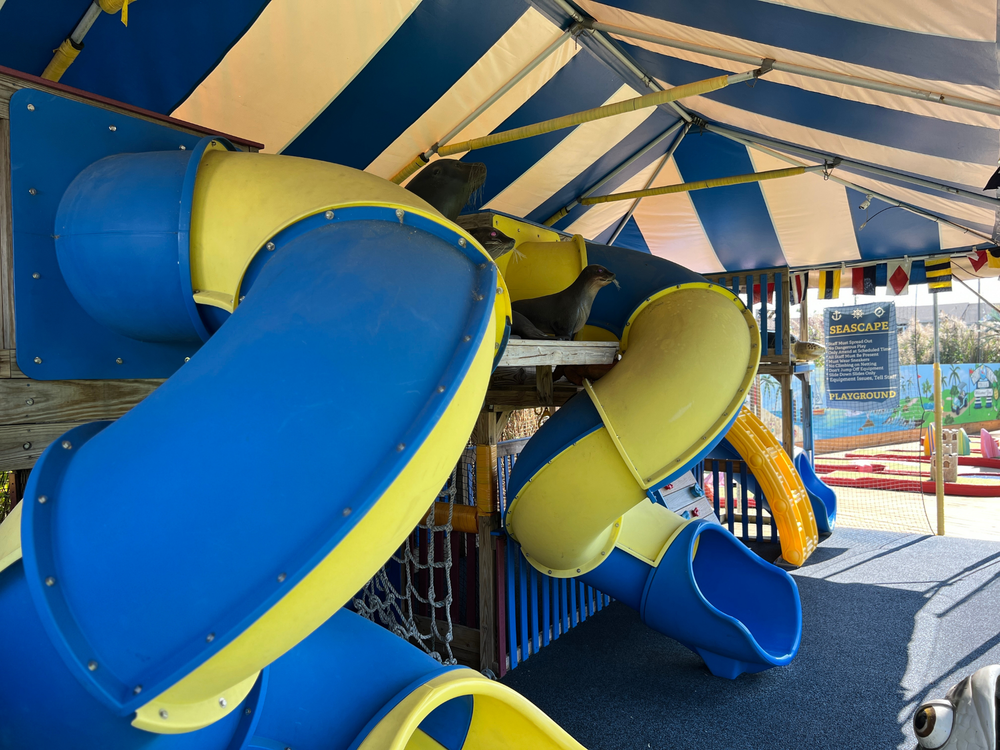 Blue and yellow slides inside seascape playground.