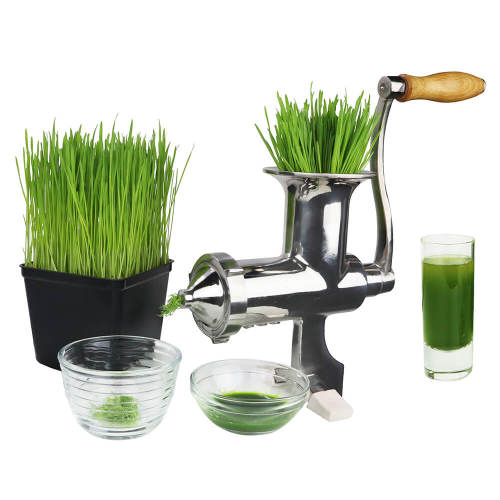 Stainless Steel Wheatgrass Juicer Roots & Harvest Homesteading Supplies