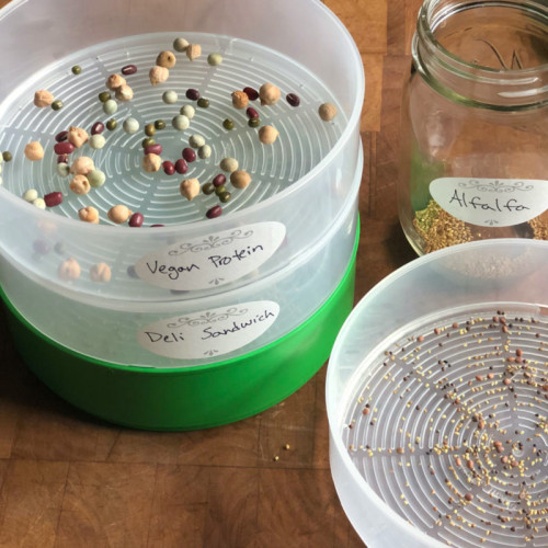 4 Tray Kitchen Sprouter Roots & Harvest Homesteading Supplies