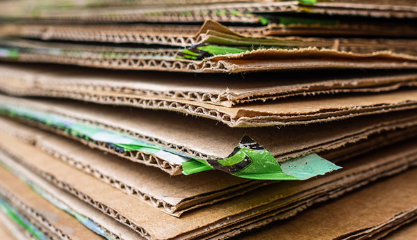 Recycling Market Development