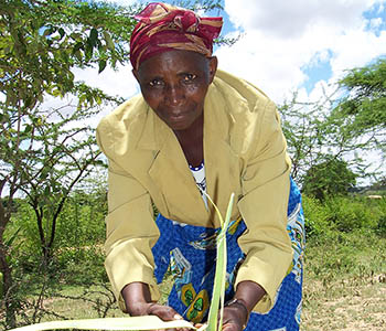 Kenya