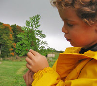 Shelburne Farms Annual Membership