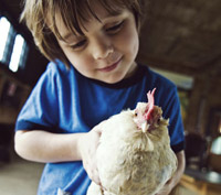 Gift of Shelburne Farms Annual Membership 