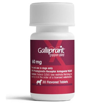 60 mg galliprant