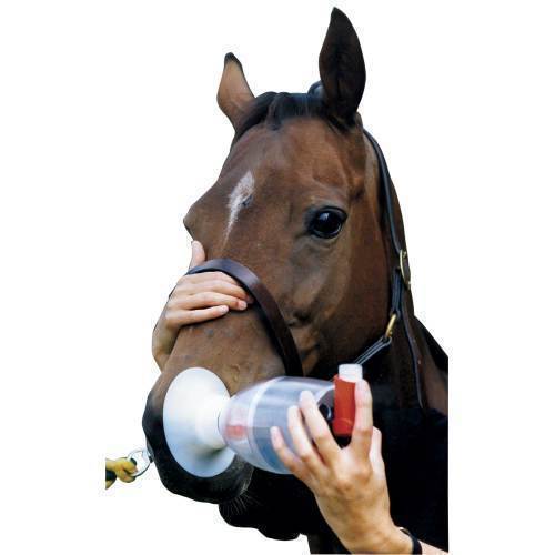 Nebulizer, equine haler, reusable spacer, Large Animal & Equine