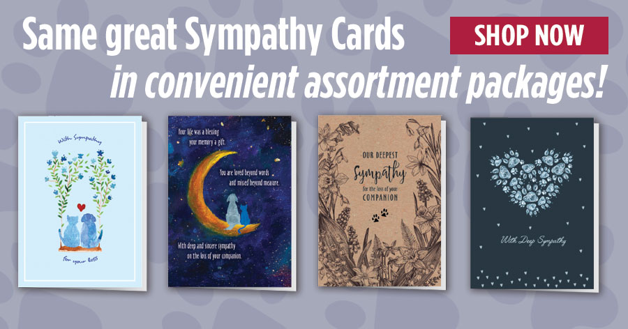 Sympathy Card Assortment Packs