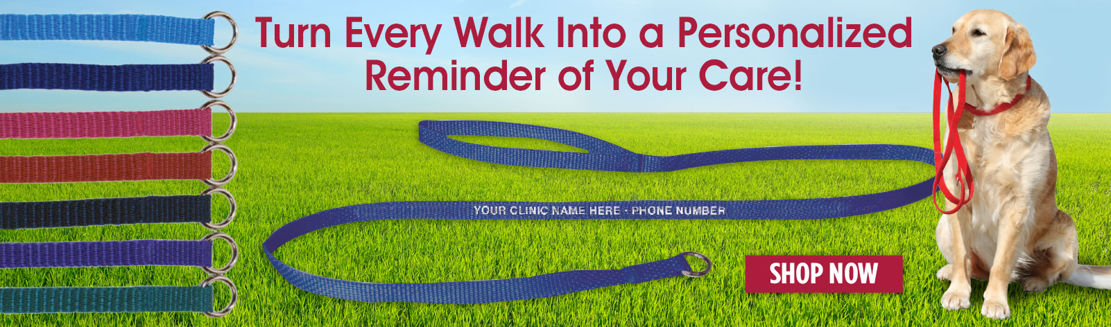 Pet Leashes