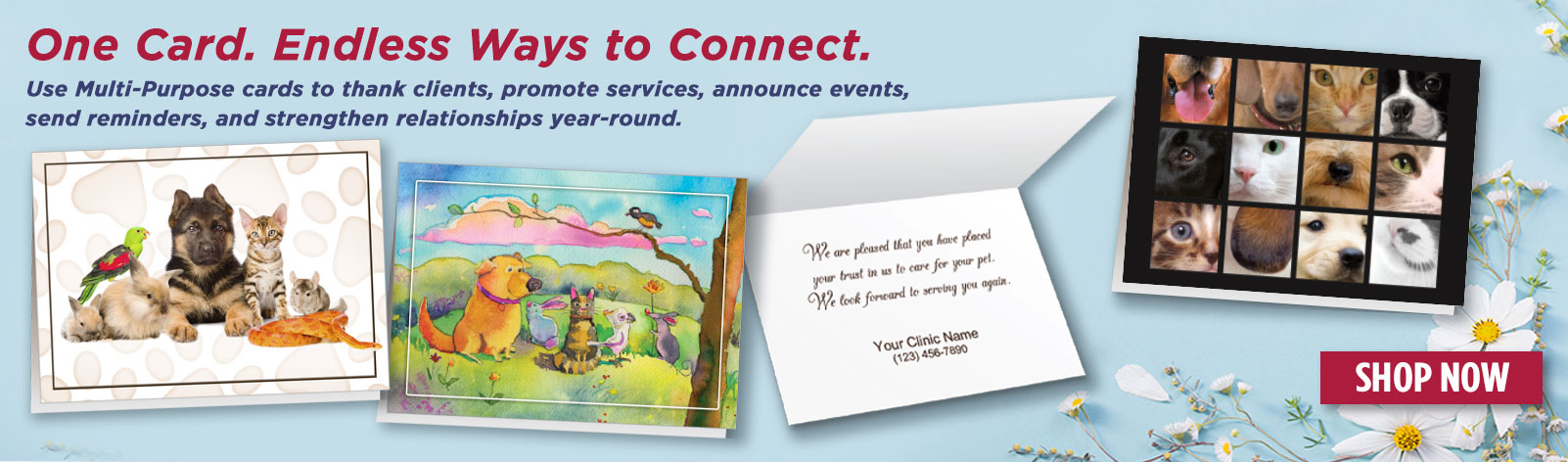 Multi Purpose Cards