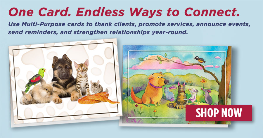 Multi Purpose Cards