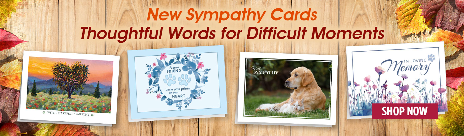New Sympathy Card Designs