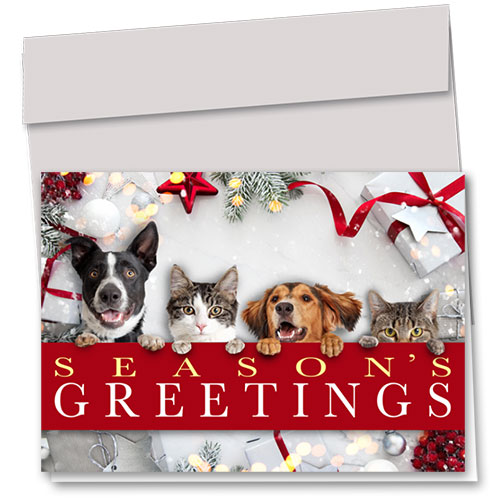 Veterinary Holiday Cards Greetings Gift, Holiday Cards Sole Source