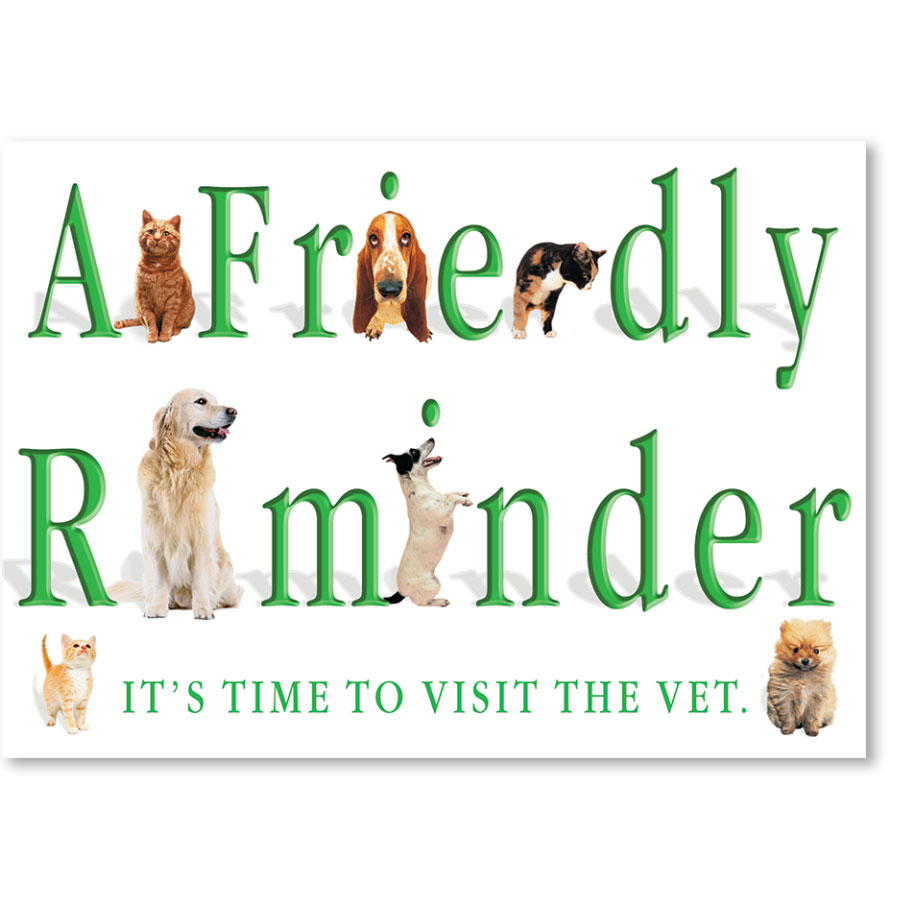 Standard Veterinary Reminder Postcards Visit The Vet